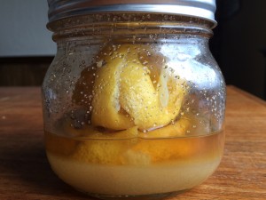 Oleo-Saccahrum